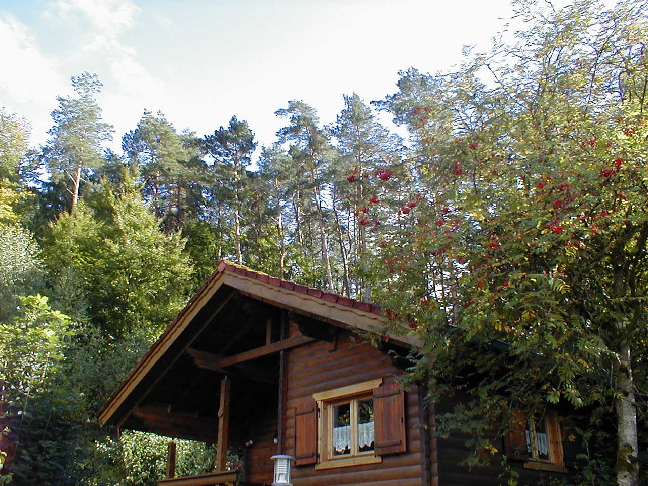 Herbstanfang im Ferienhaus 8 (September 2022)/ Httenurlaub in Stamsried / Bayerischer Wald