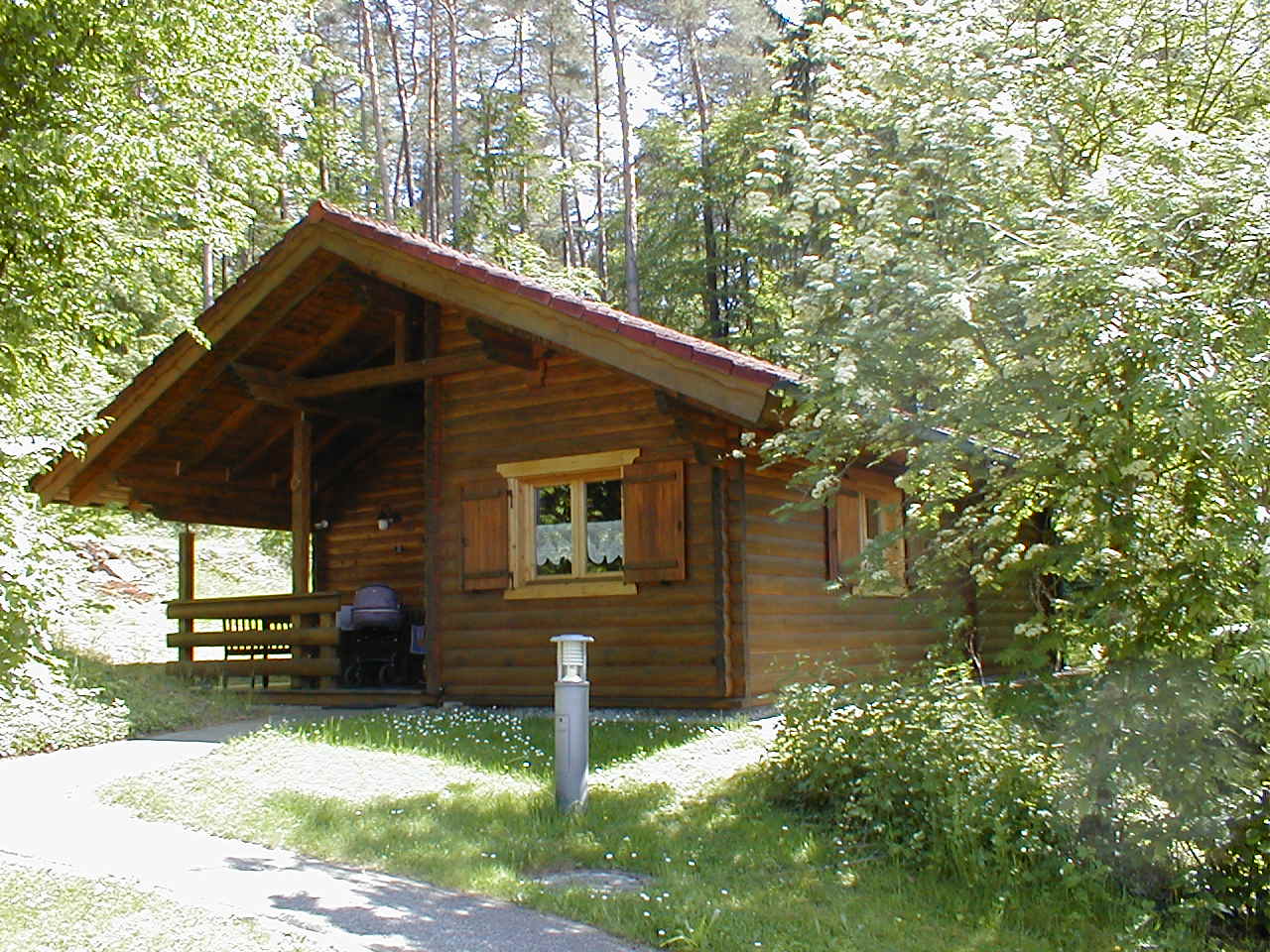 Im Mai 2020 inmitten der blhenden Wiese / Htte in Stamsried / Bayerischer Wald