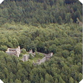 Krnburg aus der Luft im Feriendorf Stamsried Ferienhaus - Ferienwohnung - Blockhaus in Stamsried / Bayerischer Wald / Oberpfalz
