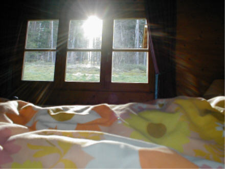 Morgenstimmung im Feriendorf Ferienhaus - Allergiker Ferienwohnung - Blockhaus in Stamsried / Bayerischer Wald 
      / Oberpfalz