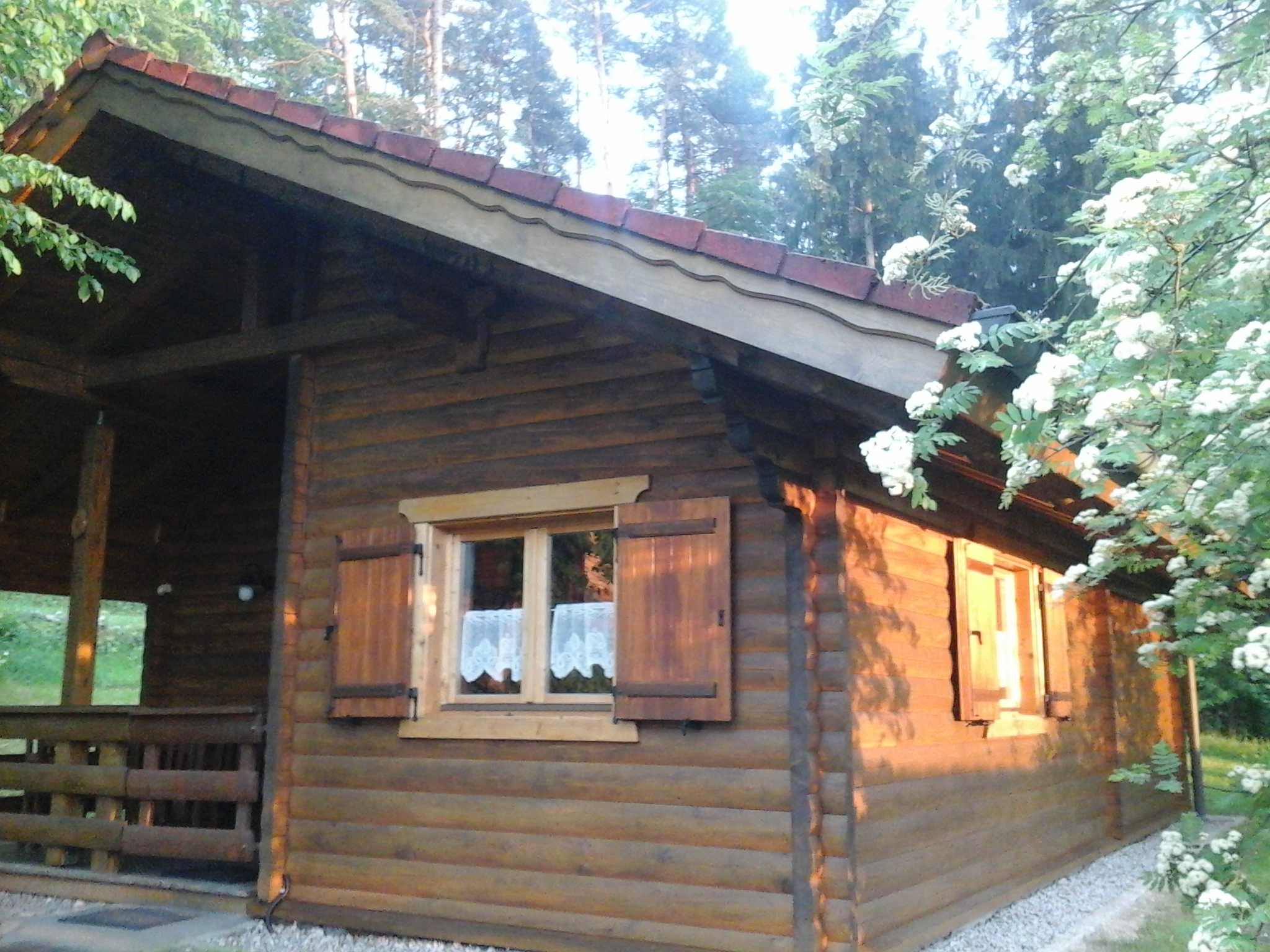  Ferienhaus 8 im Frhling / Blockhaus in Stamsried / Bayerischer Wald